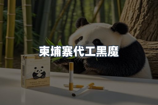 越南香烟系列